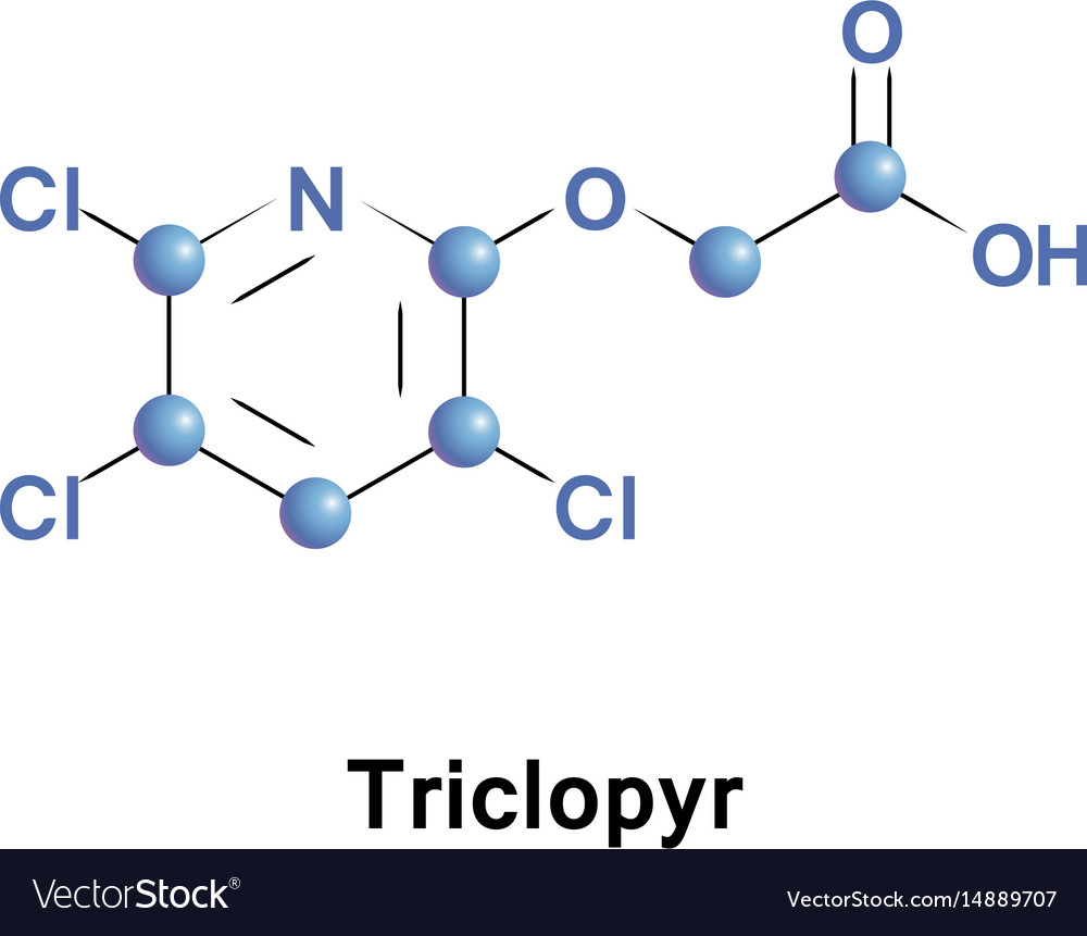 Triclopyr trichloropyridinyloxyacetic acid