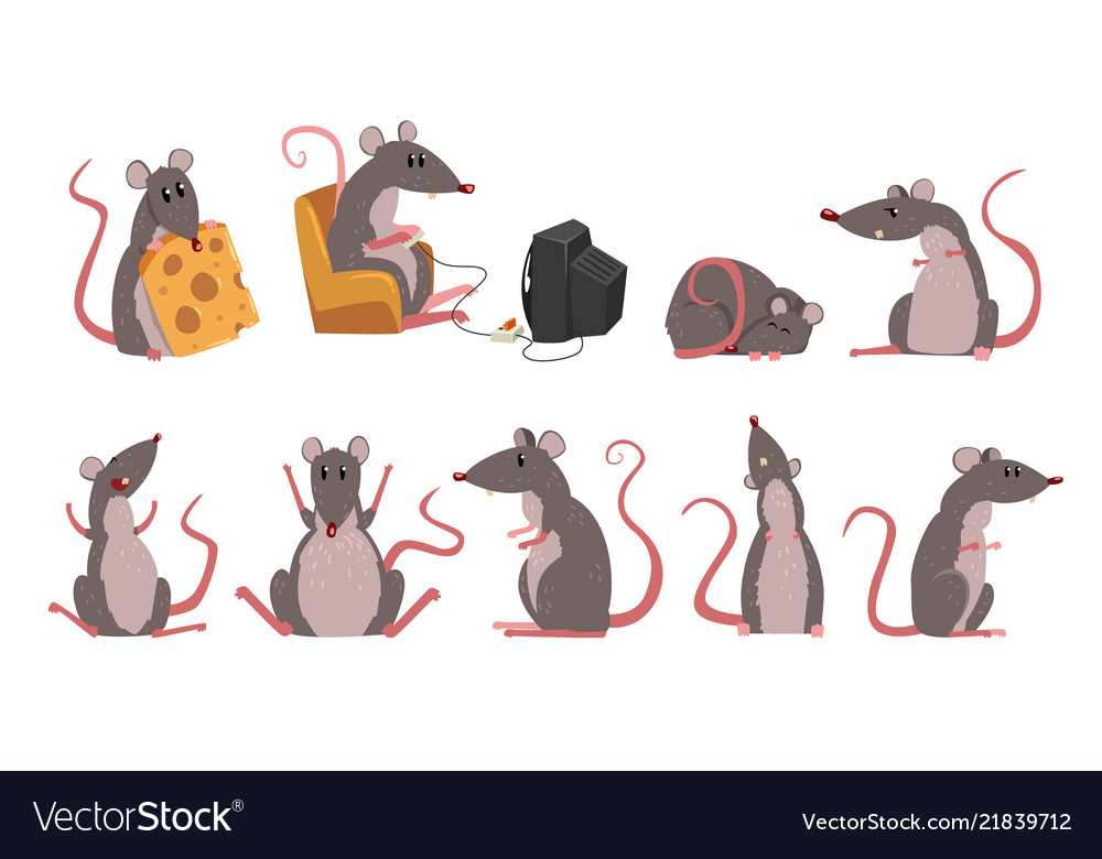 Funny Mouse Character Set