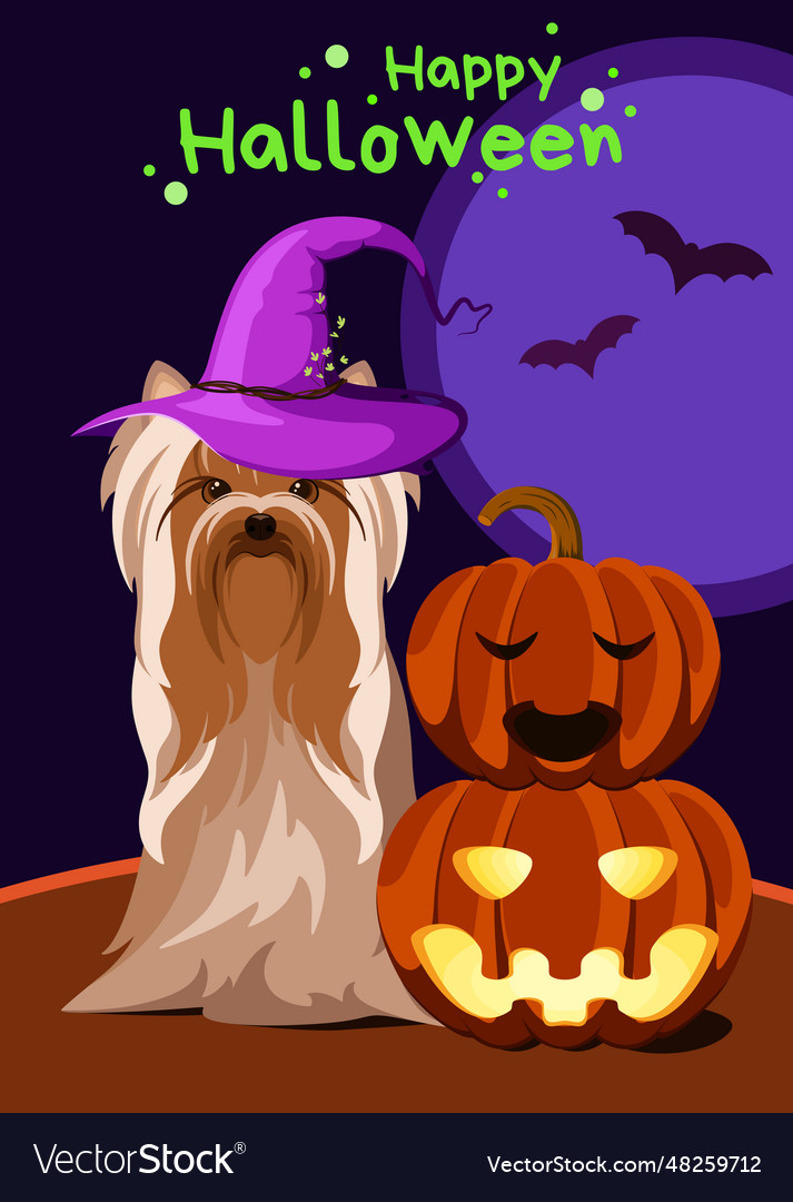 Funny yorkshire terrier Royalty Free Vector Image