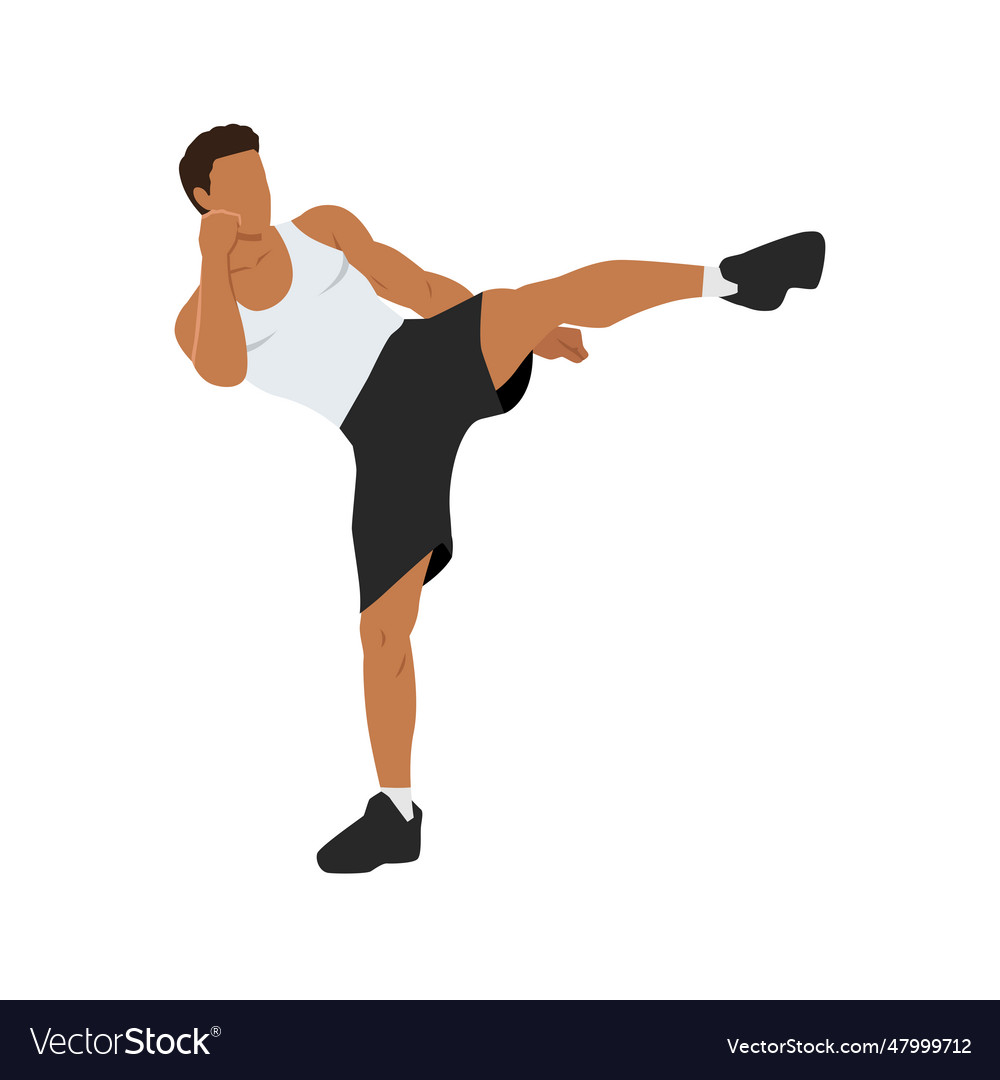 Man doing roundhouse side kicks side kick sport Vector Image