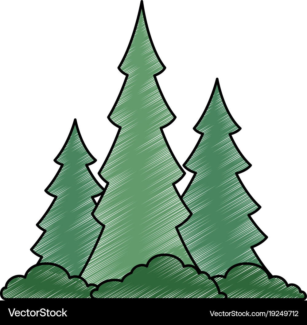 Pine forest scene icon Royalty Free Vector Image