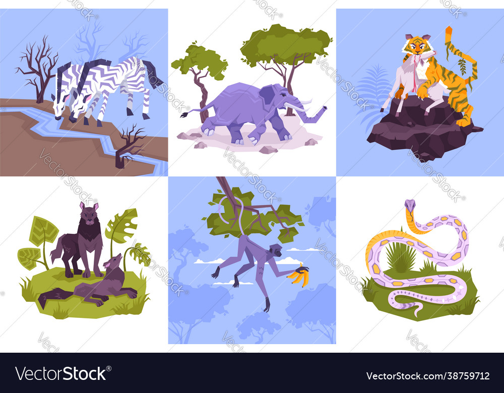 Rainforest animals design concept