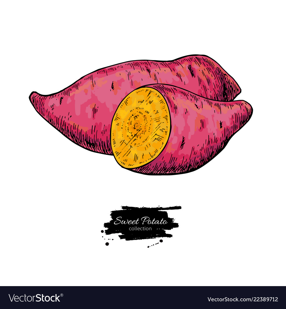 Sweet Potato Cartoon Images ~ Sweet Potato Cartoon Clipart 10 Free ...