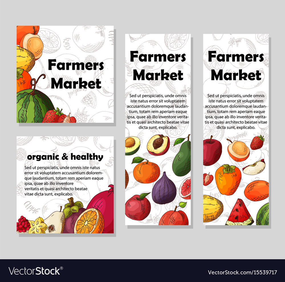 Set of organic fruits cards hand drawn sketch Vector Image