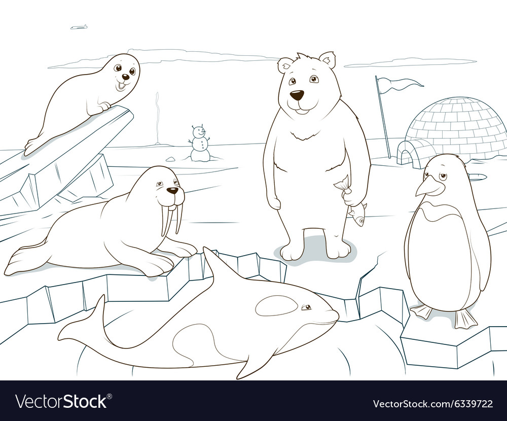 arctic-animals-coloring-book-educational-game-vector-image