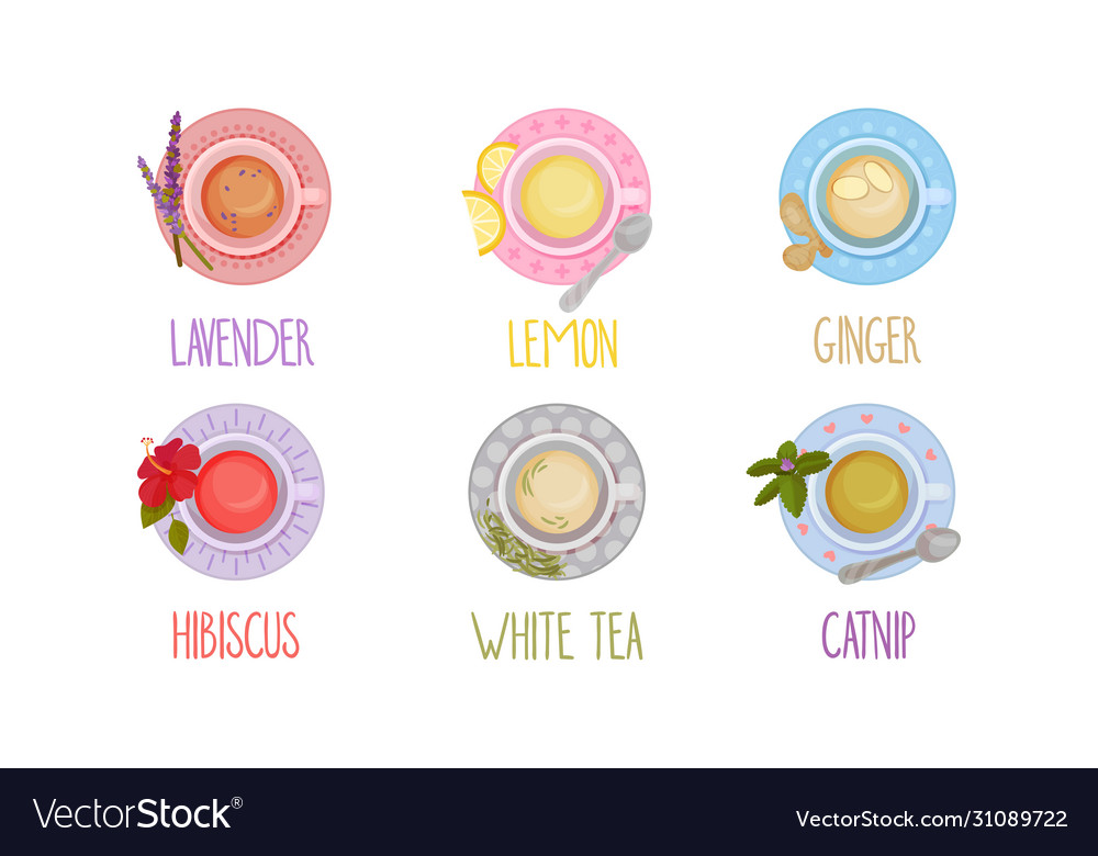 Different tea types poured in cups and standing