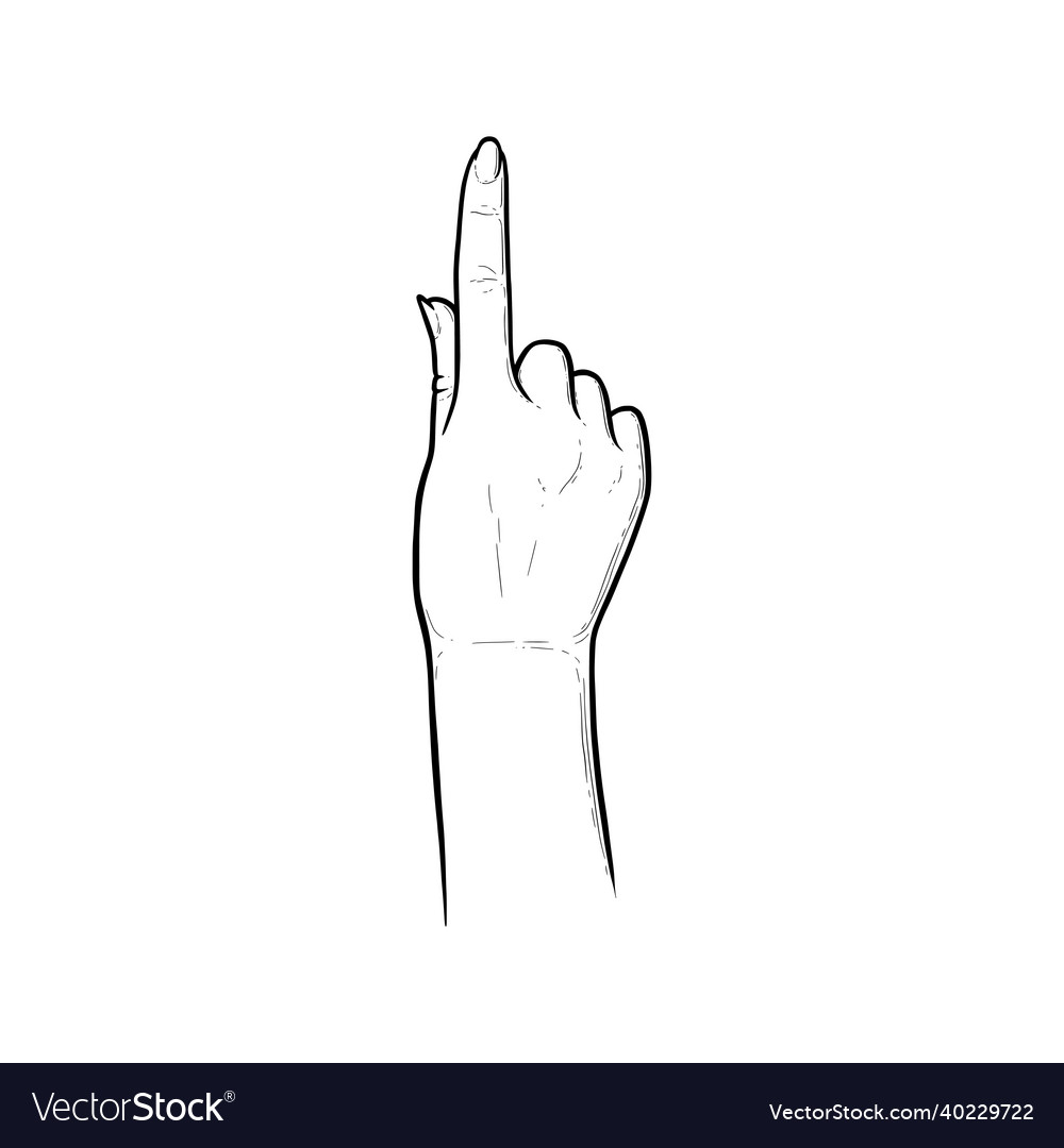 Index finger pointing straight forward Vector Image Index finger pointing straight forward