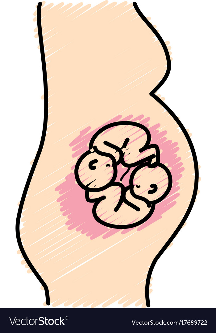 woman-pregnant-with-nice-twins-babies-royalty-free-vector