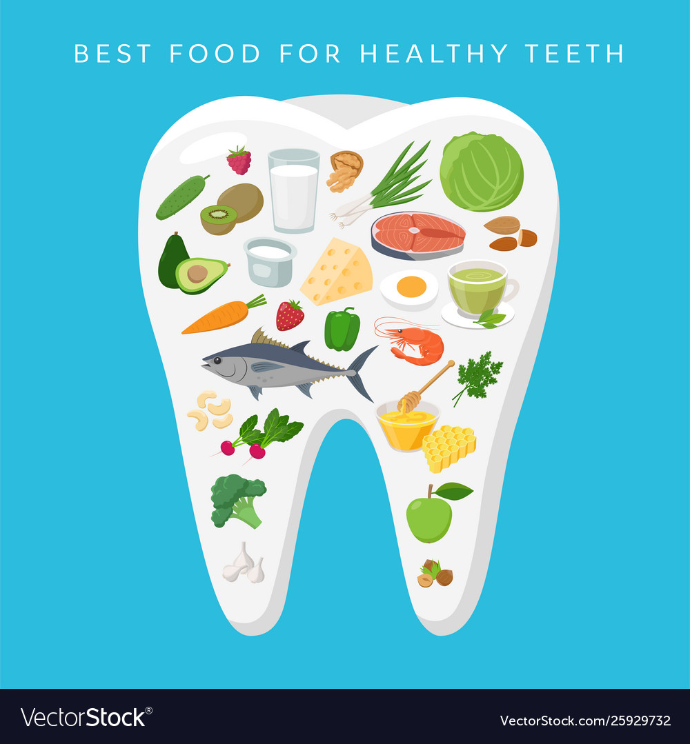 Best food for helthy teeth concept Royalty Free Vector Image