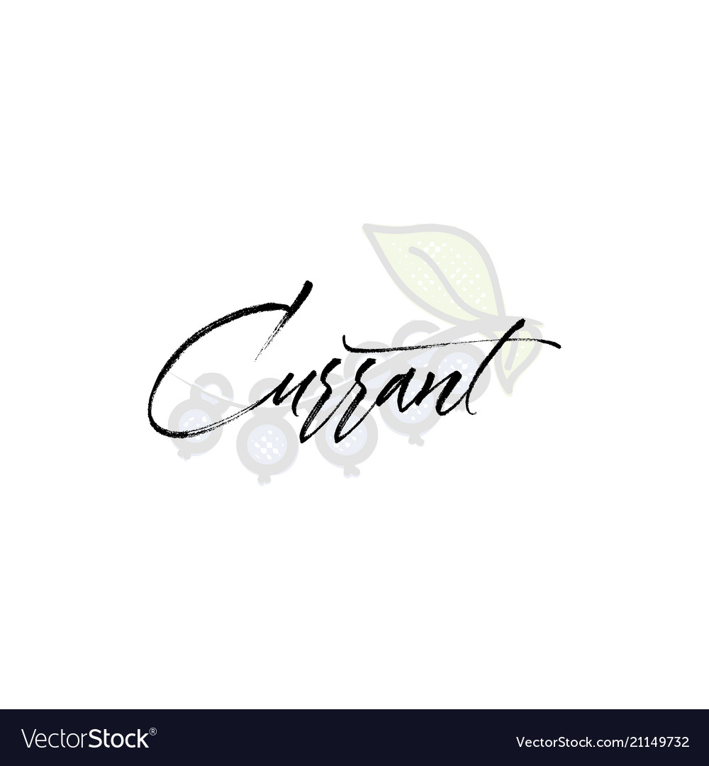 Currant word on background fruit web