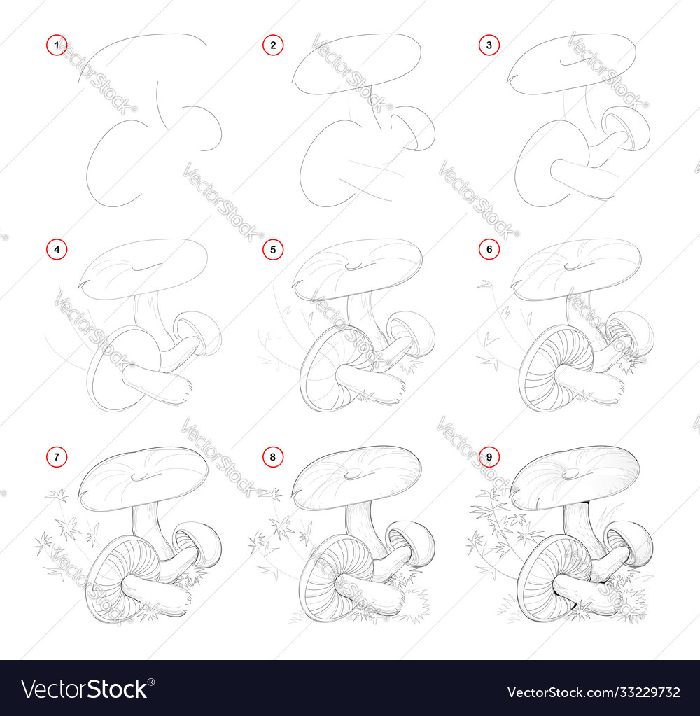 How to draw from nature sketch group mushrooms Vector Image