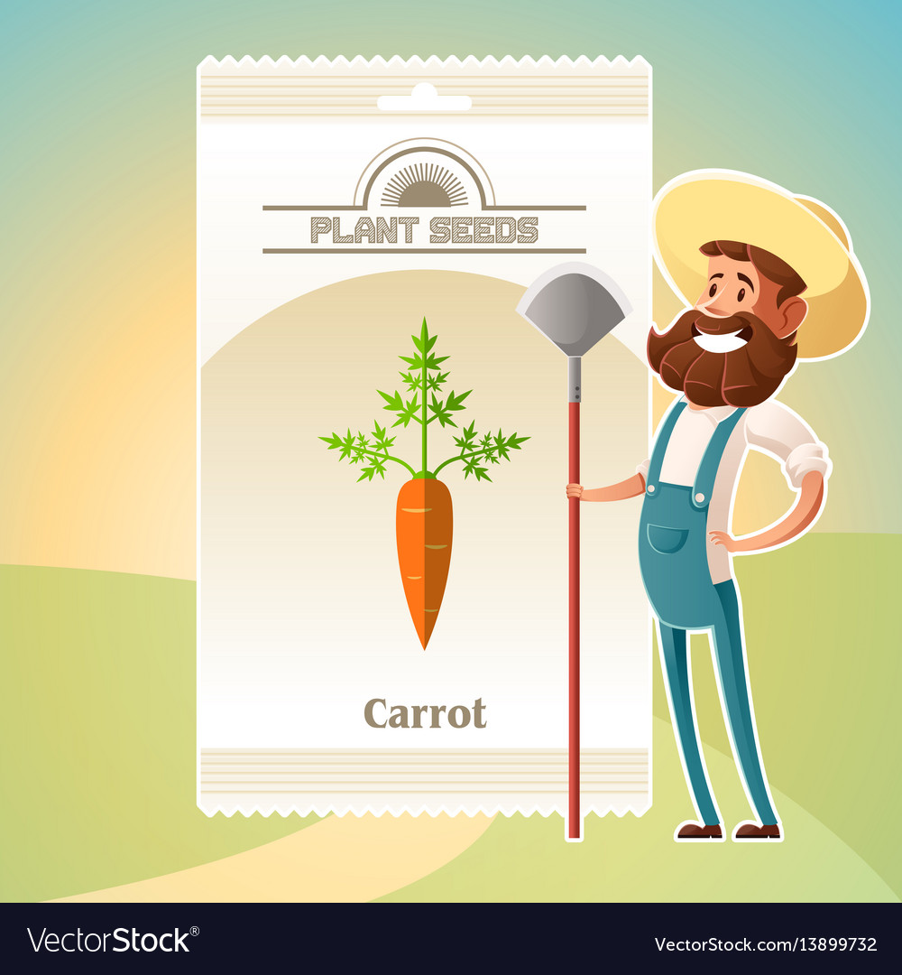 Pack of carrot seeds icon