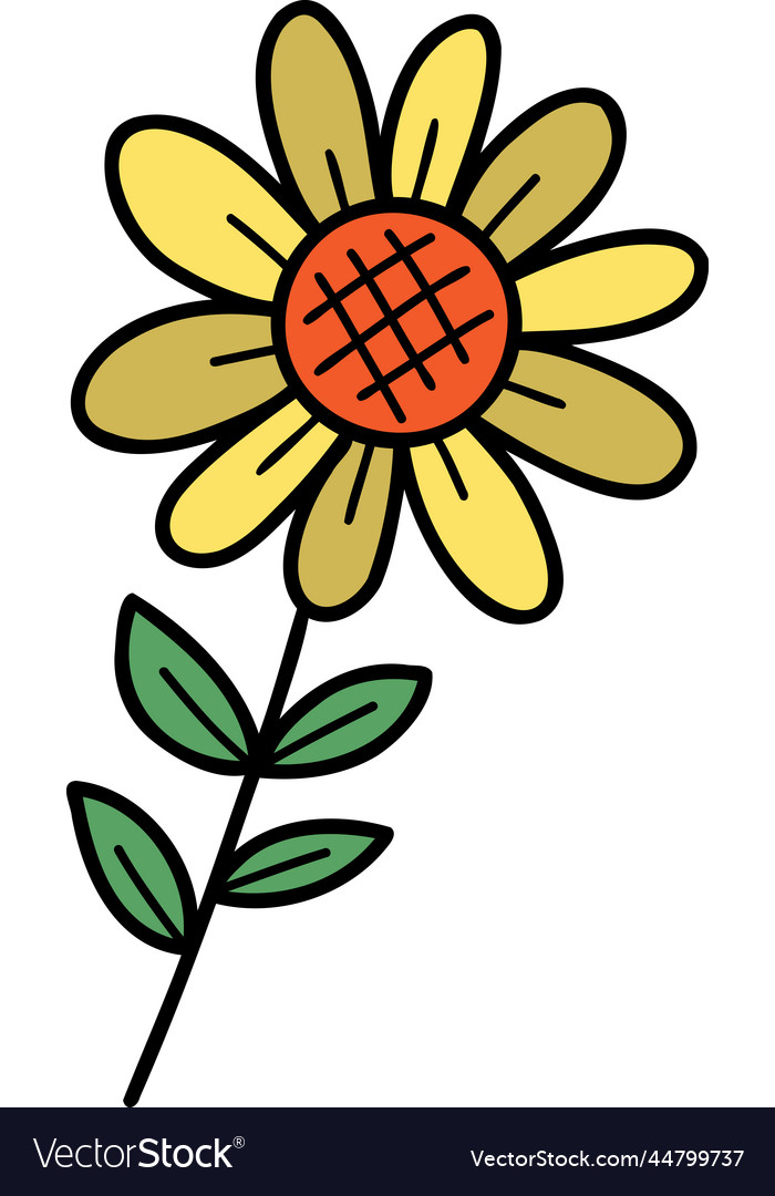 Hand drawn sunflower