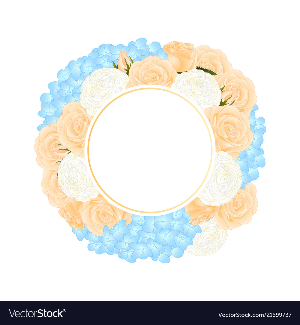Orange Rose blau Hydrana und weiß ranunculus vector image Orange Rose blau Hydrana und weiß ranunculus