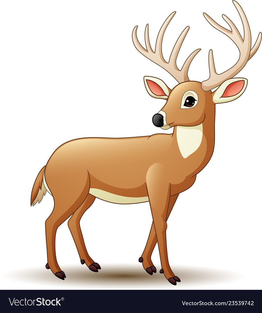 Cartoon deer isolated on white background Vector Image