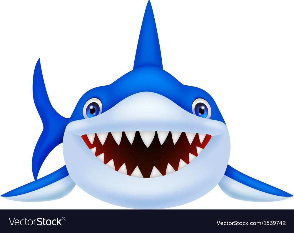 Cute shark cartoon