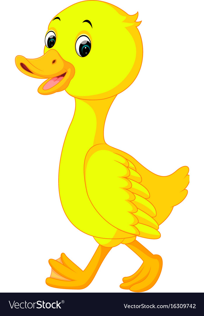 Duck cartoon Royalty Free Vector Image - VectorStock