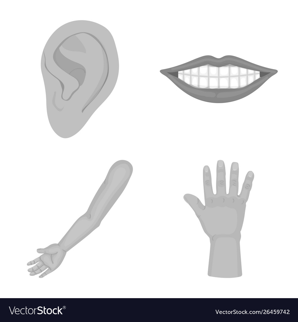 Isolated object body and part sign collection vector image Isolated object body and part sign collection