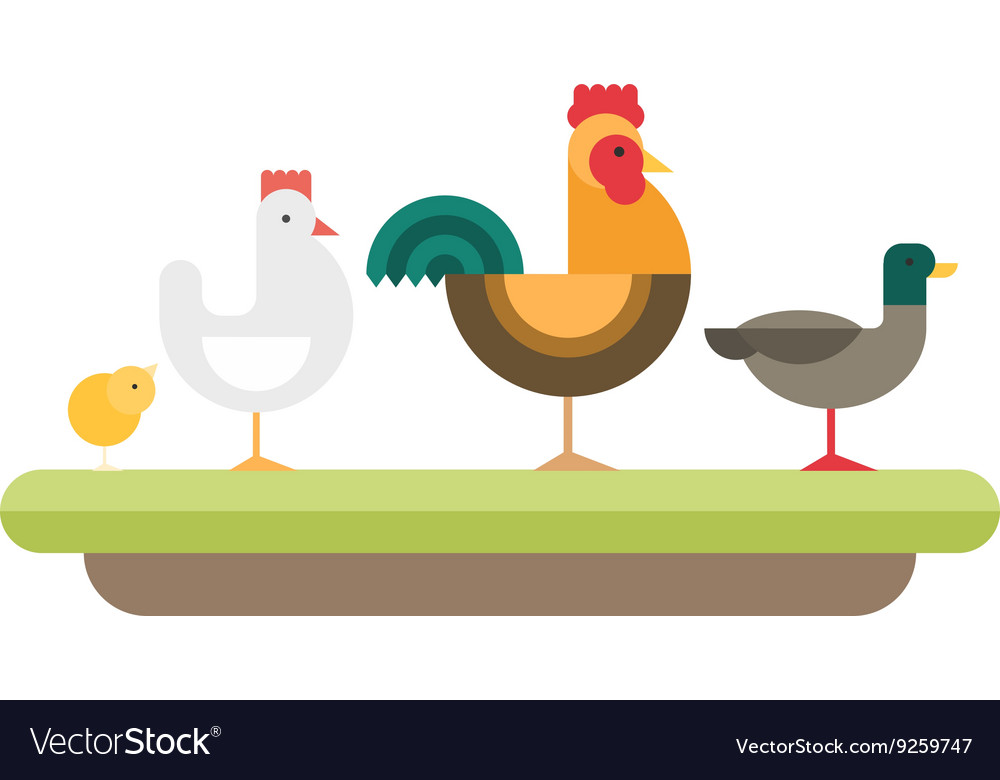 Farm animal rooster hen chickens duck flat style