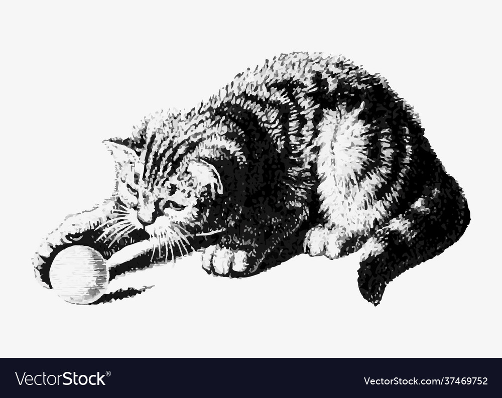 Cat playing with a ball