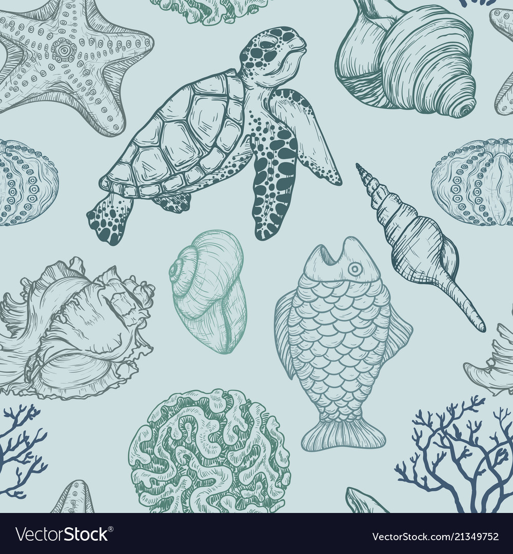 Ocean Shells & Marine Life Pattern