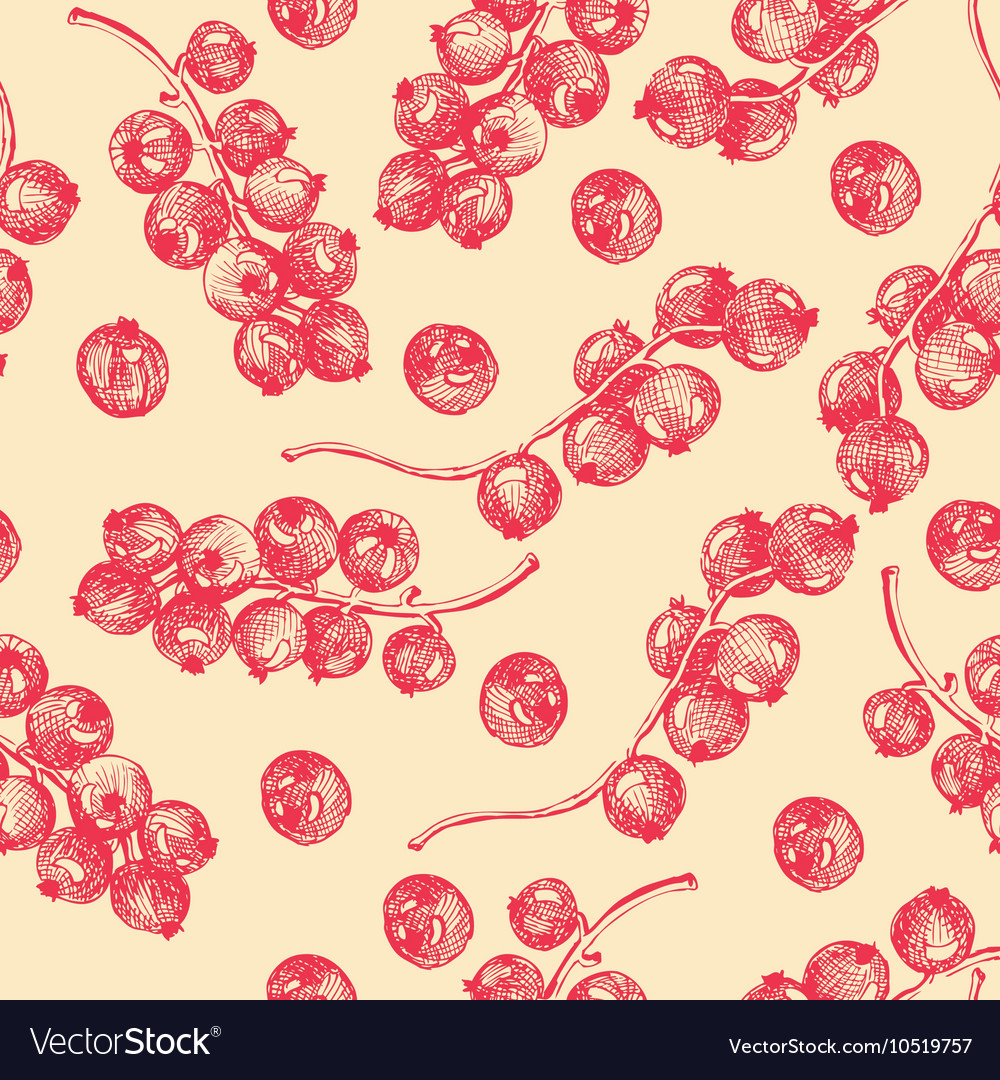 Currant seamless pattern