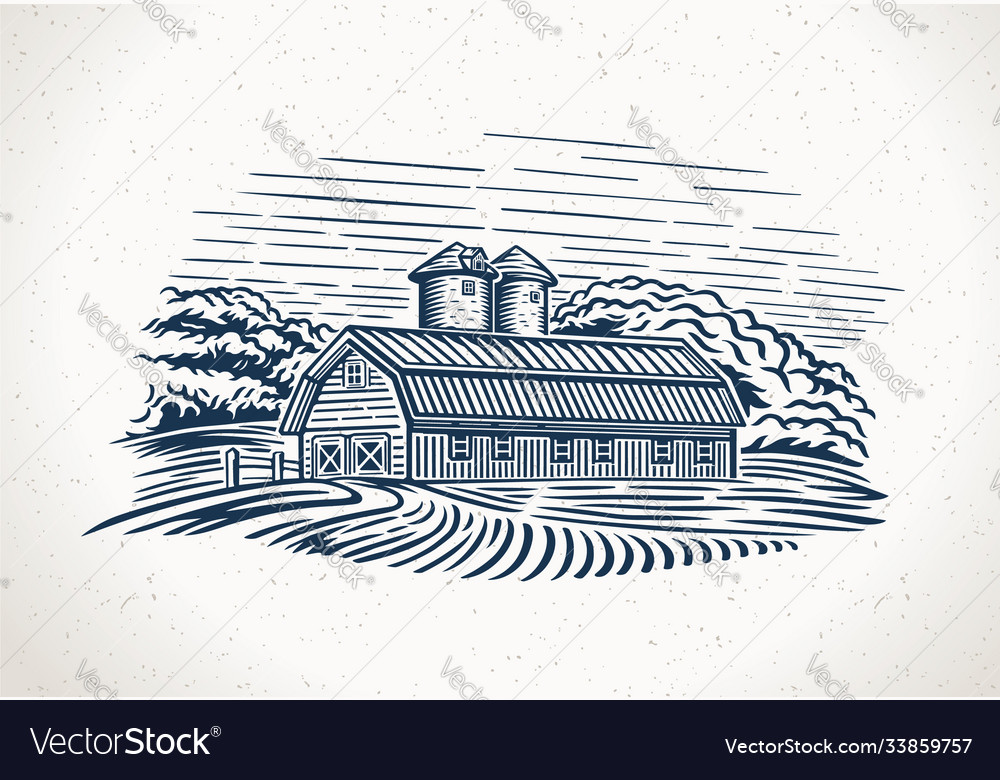 Graphic landscape with farm and field Royalty Free Vector