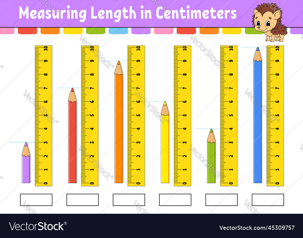 Measuring length in centimeter with ruler vector image Measuring length in centimeter with ruler
