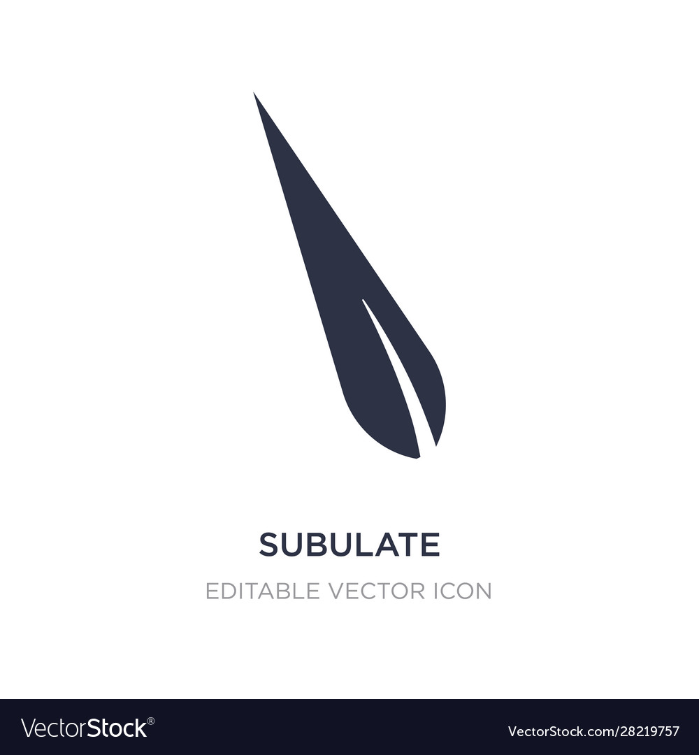 Subulate icon on white background simple element
