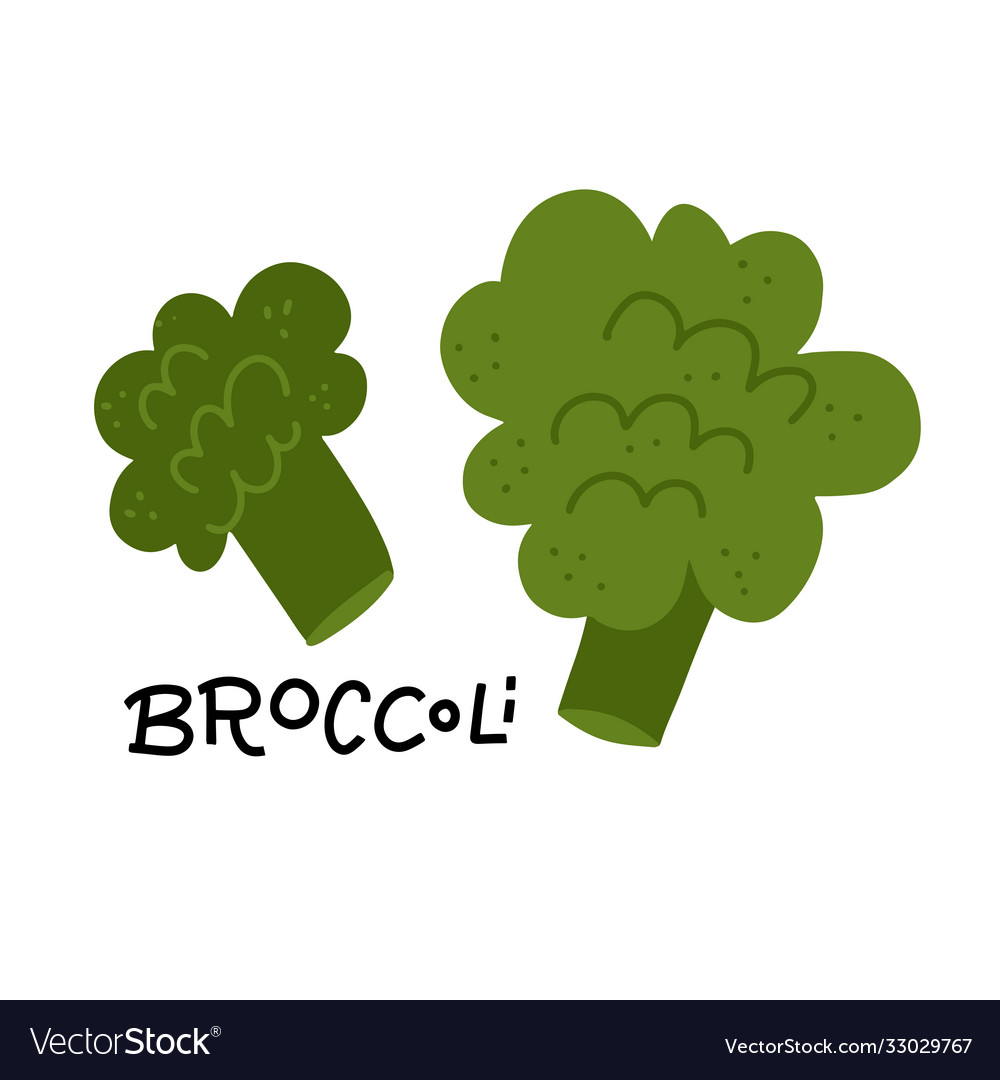 Broccoli icon in flat style with lettering title