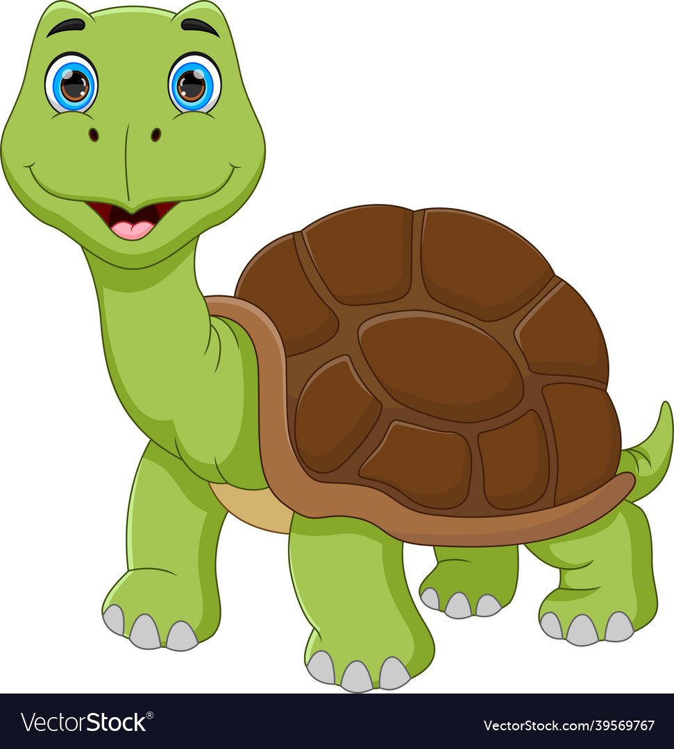 Funny turtle cartoon isolated on white background Vector Image