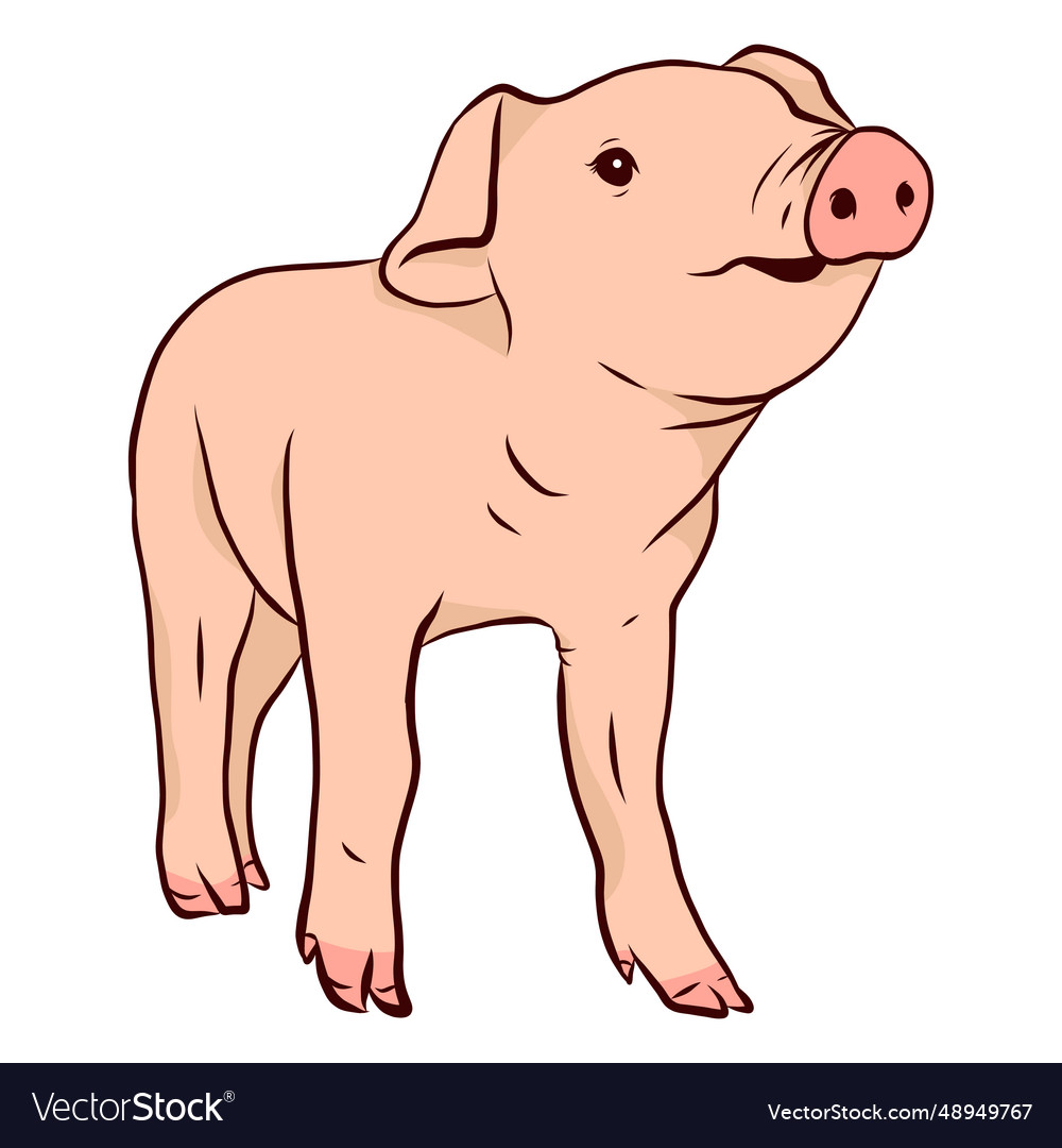 Pig snout hoof vector image Pig snout hoof