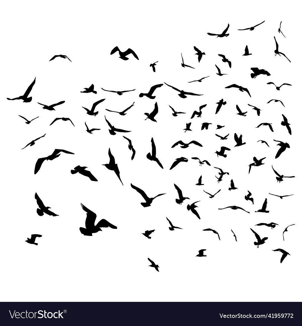 Black Seagull Silhouettes
