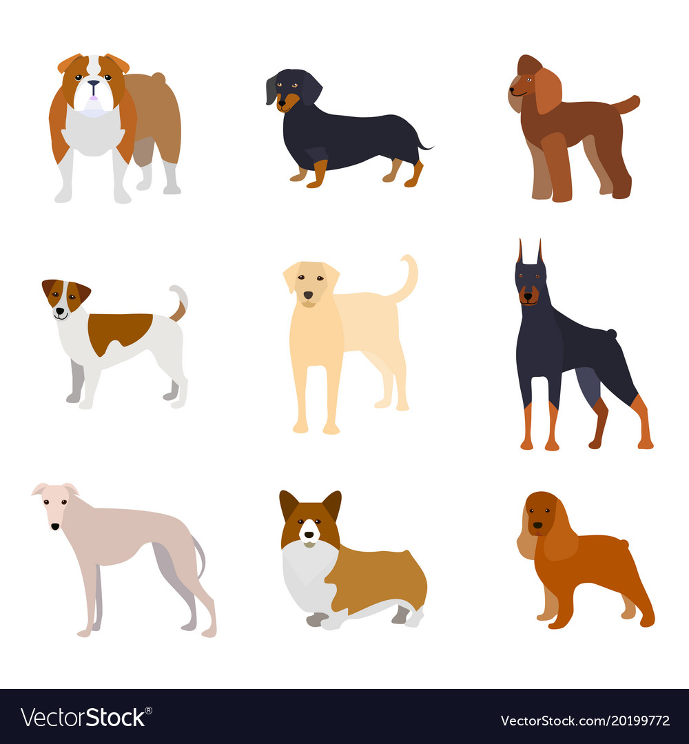 Cartoon breed of dogs collection icons Royalty Free Vector