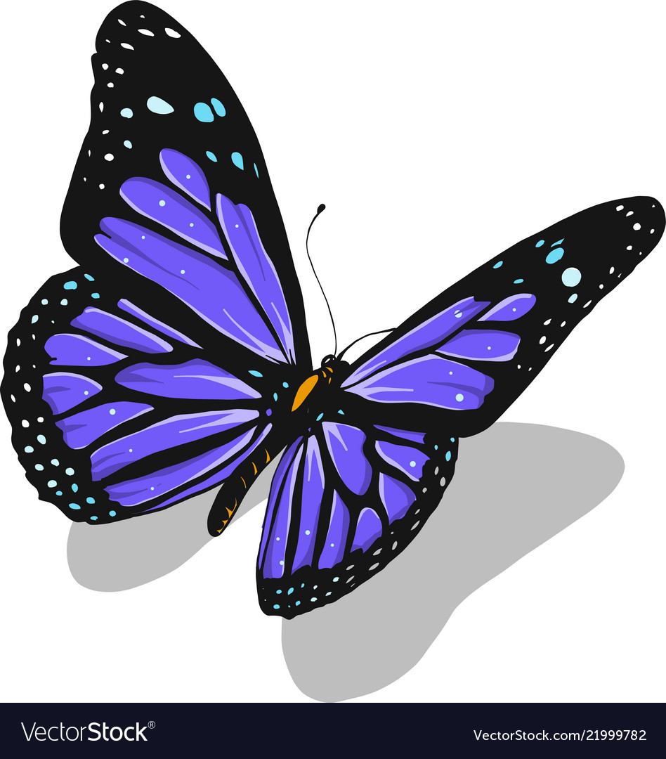 Free Free Butterfly Svg Vector 34 SVG PNG EPS DXF File