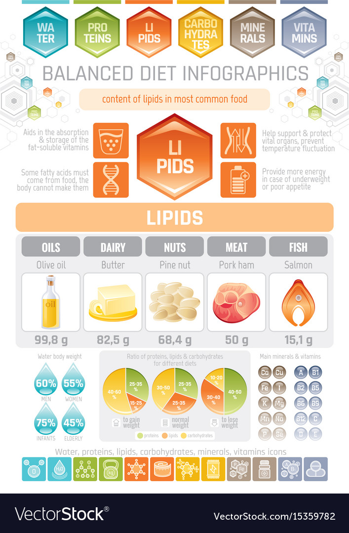 Classification Of Lipids Chart