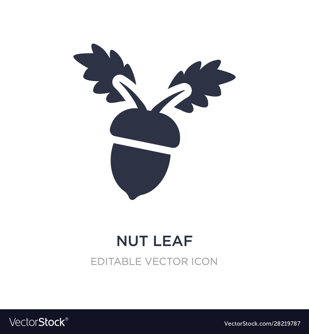 Nut leaf icon on white background simple element