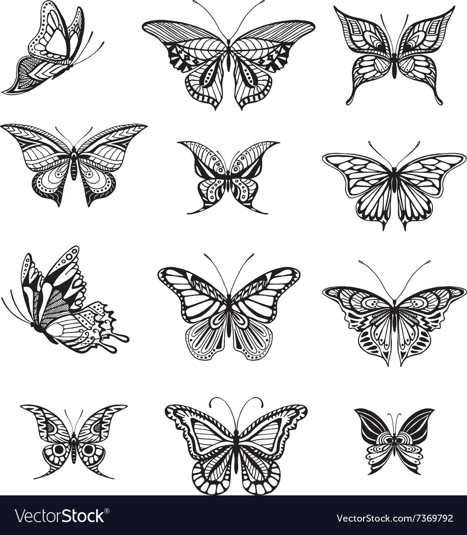 Butterflies graphic Royalty Free Vector Image - VectorStock