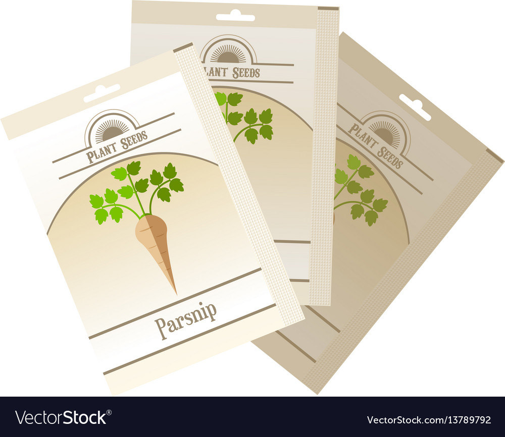 Pack of parsnip seeds icon vector image Pack of parsnip seeds icon
