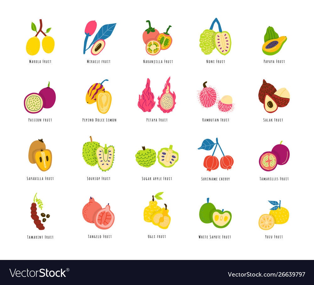 Fruits berries cartoon set