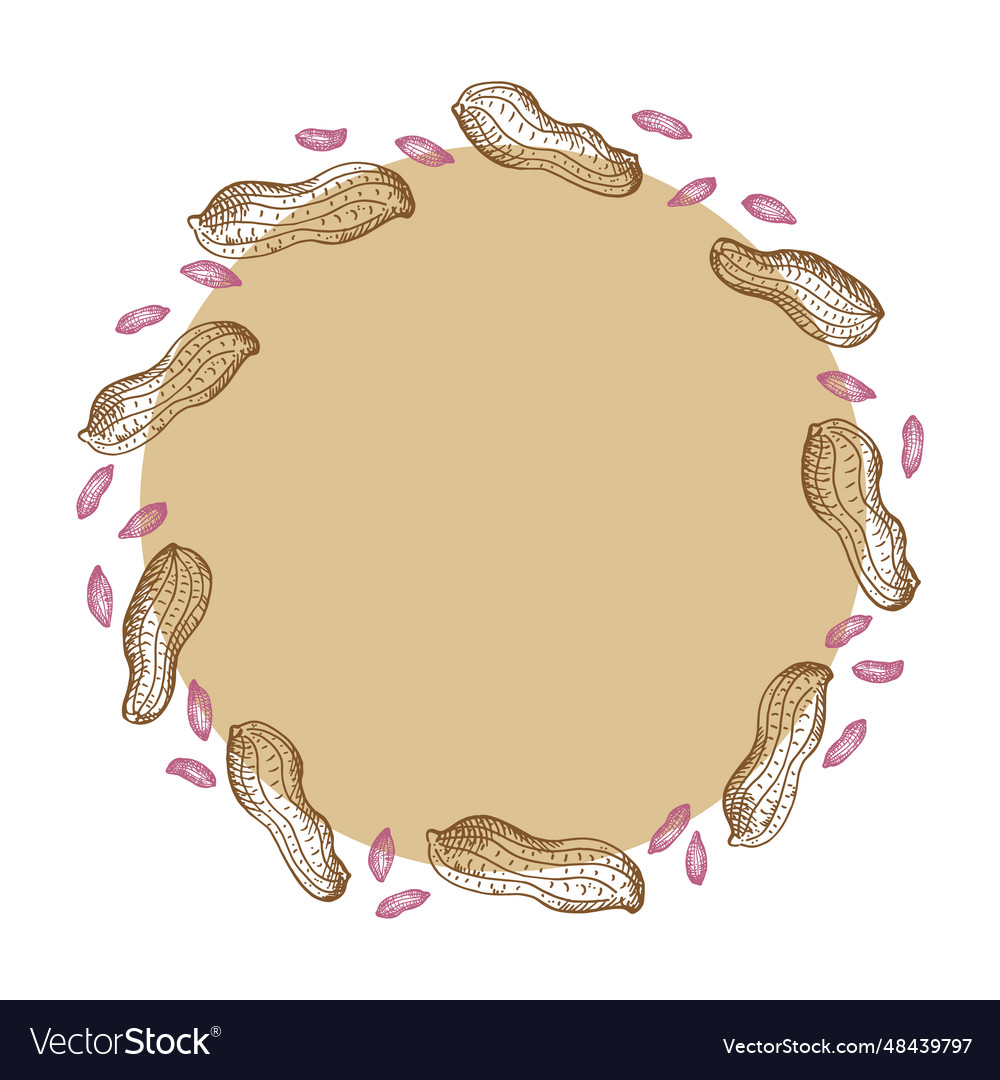 Peanut nuts frame label background for text