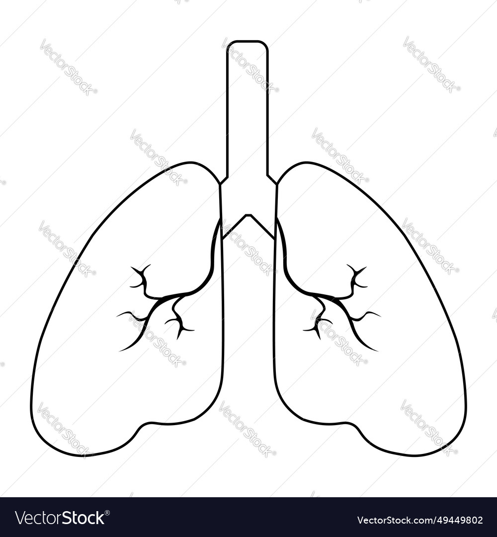 Lung human icon respiratory system healthy lungs Vector Image