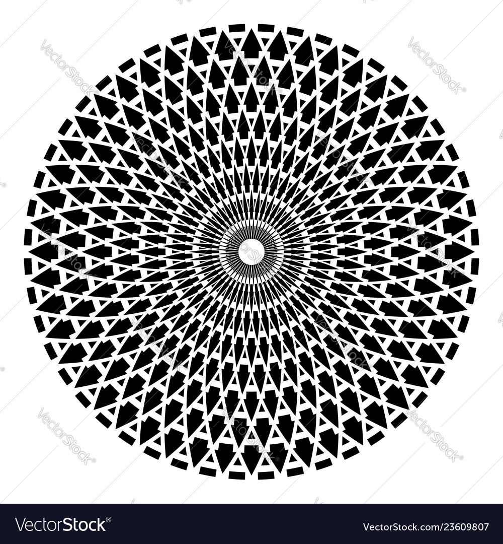 Circle design element vector image Circle design element