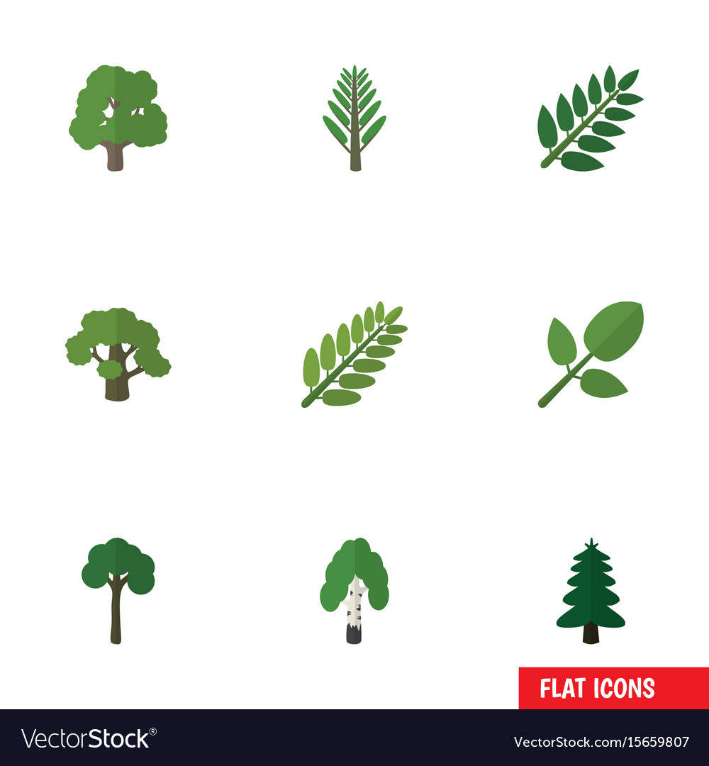 Flat icon nature set of tree foliage timber Vector Image