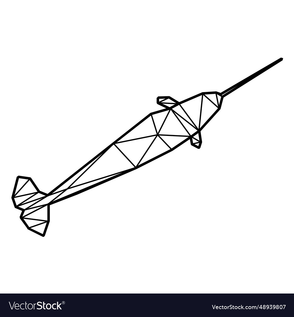 Narwhal top view polygonal