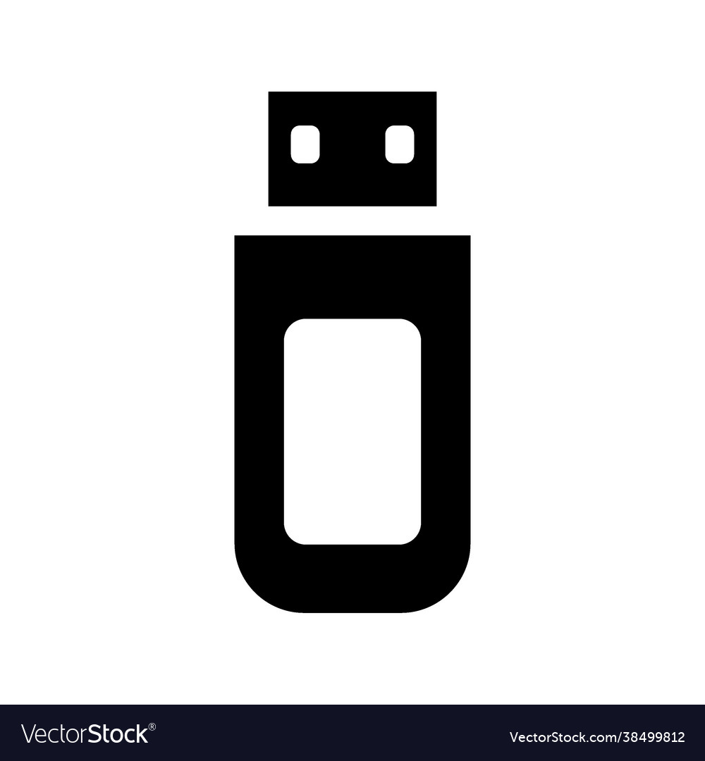 Flash disk icon vector image Flash disk icon