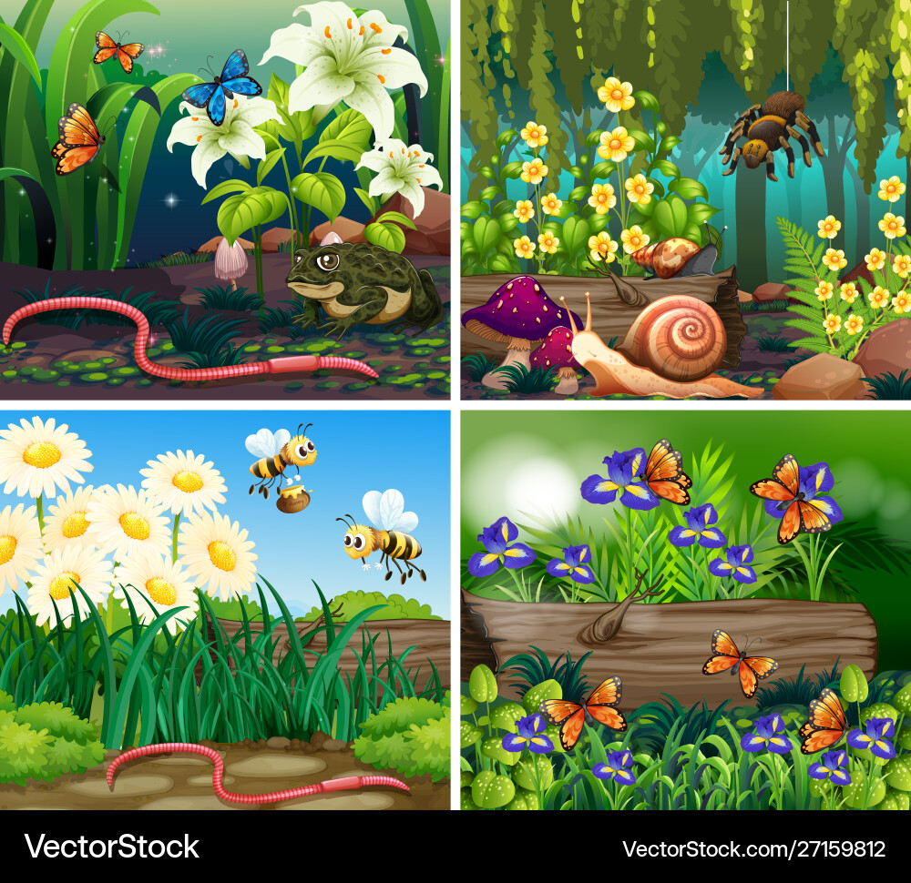 Set background scene with flowers and insects Vector Image
