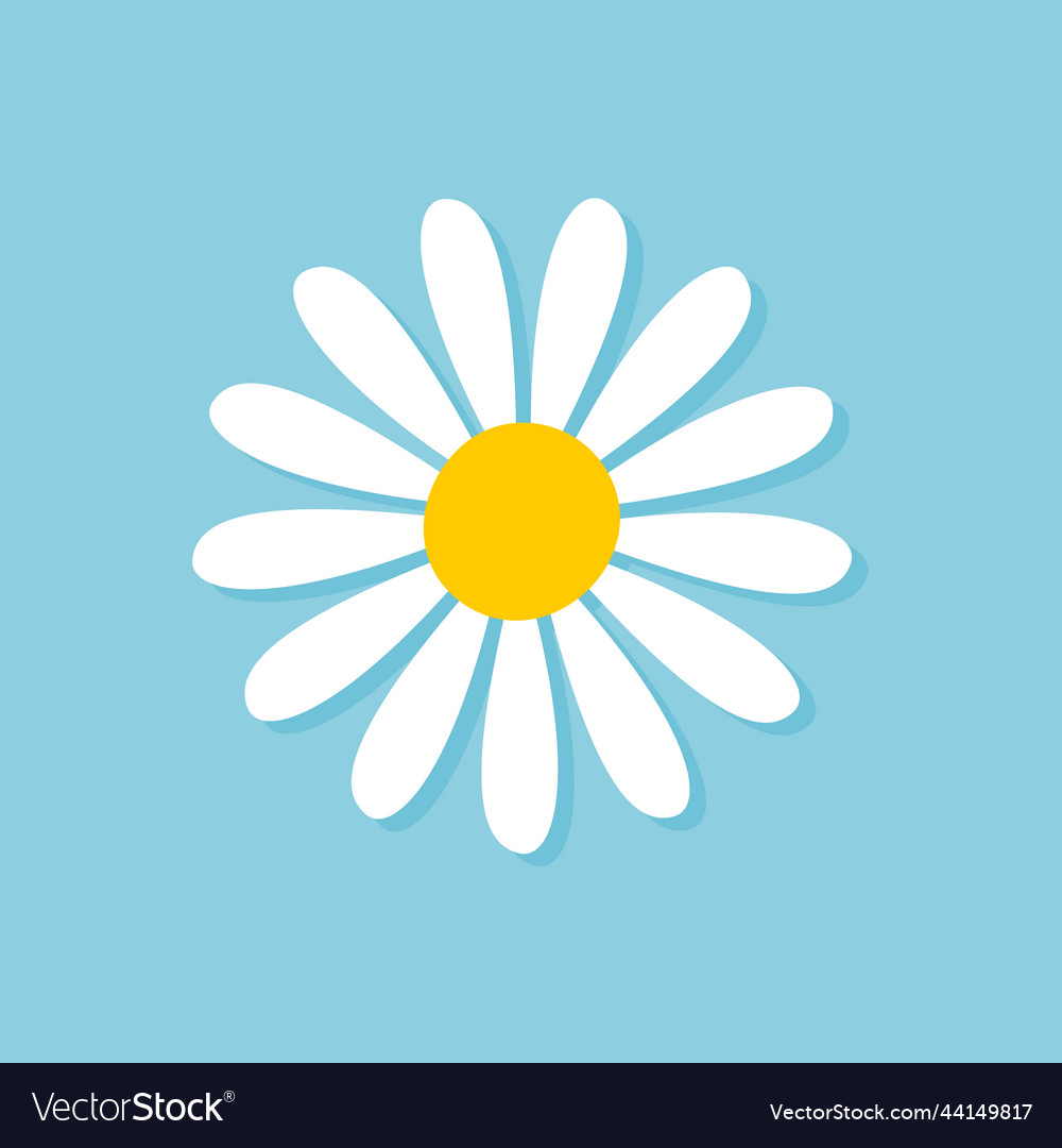 Blooming Daisy Collection White Petal Daisy Vector Image Blooming Daisy Collection White Petal Daisy Vector 44149817