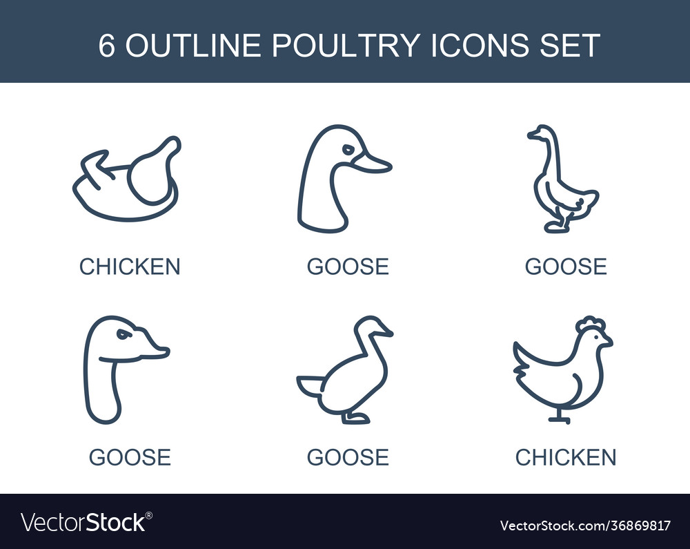 Poultry icons