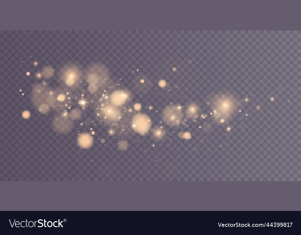 Shining bokeh isolated on transparent background vector image Shining bokeh isolated on transparent background